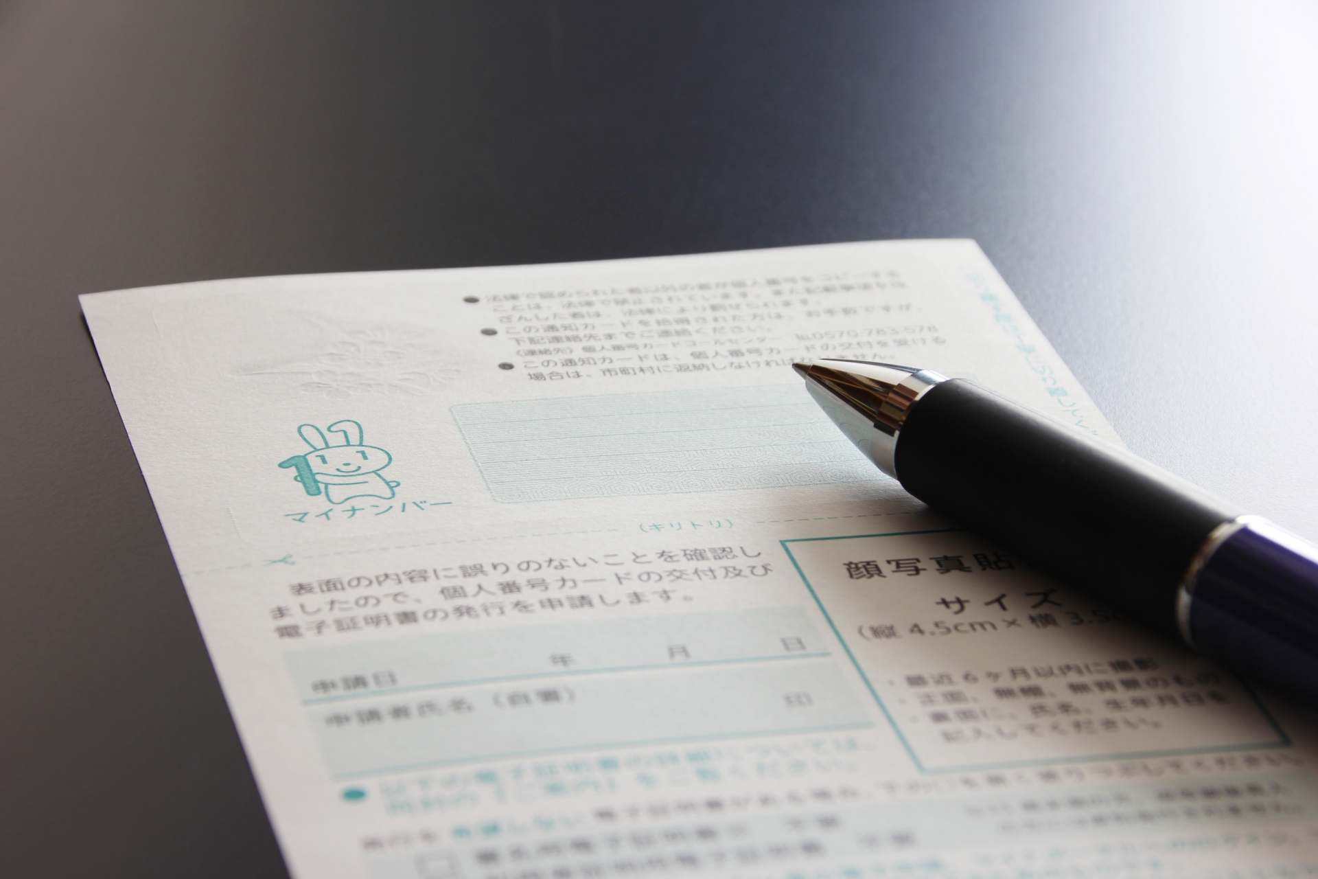 通知カード