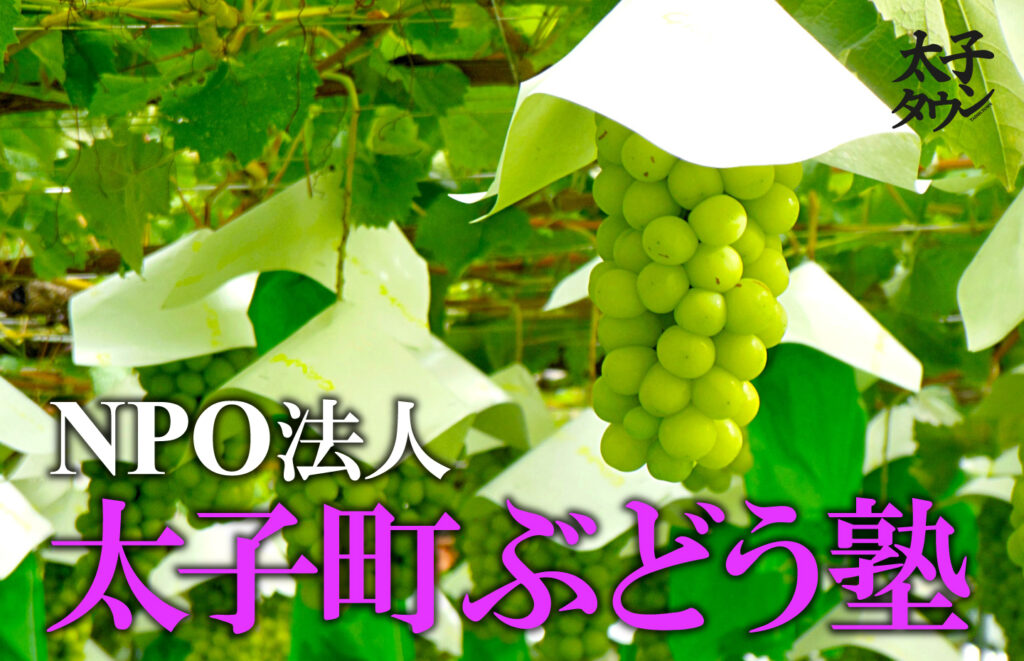 【大阪府太子町】NPO法人 太子町ぶどう塾