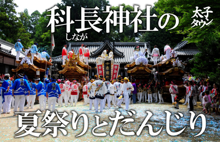 【太子町山田】科長（しなが）神社の夏祭りとだんじり
