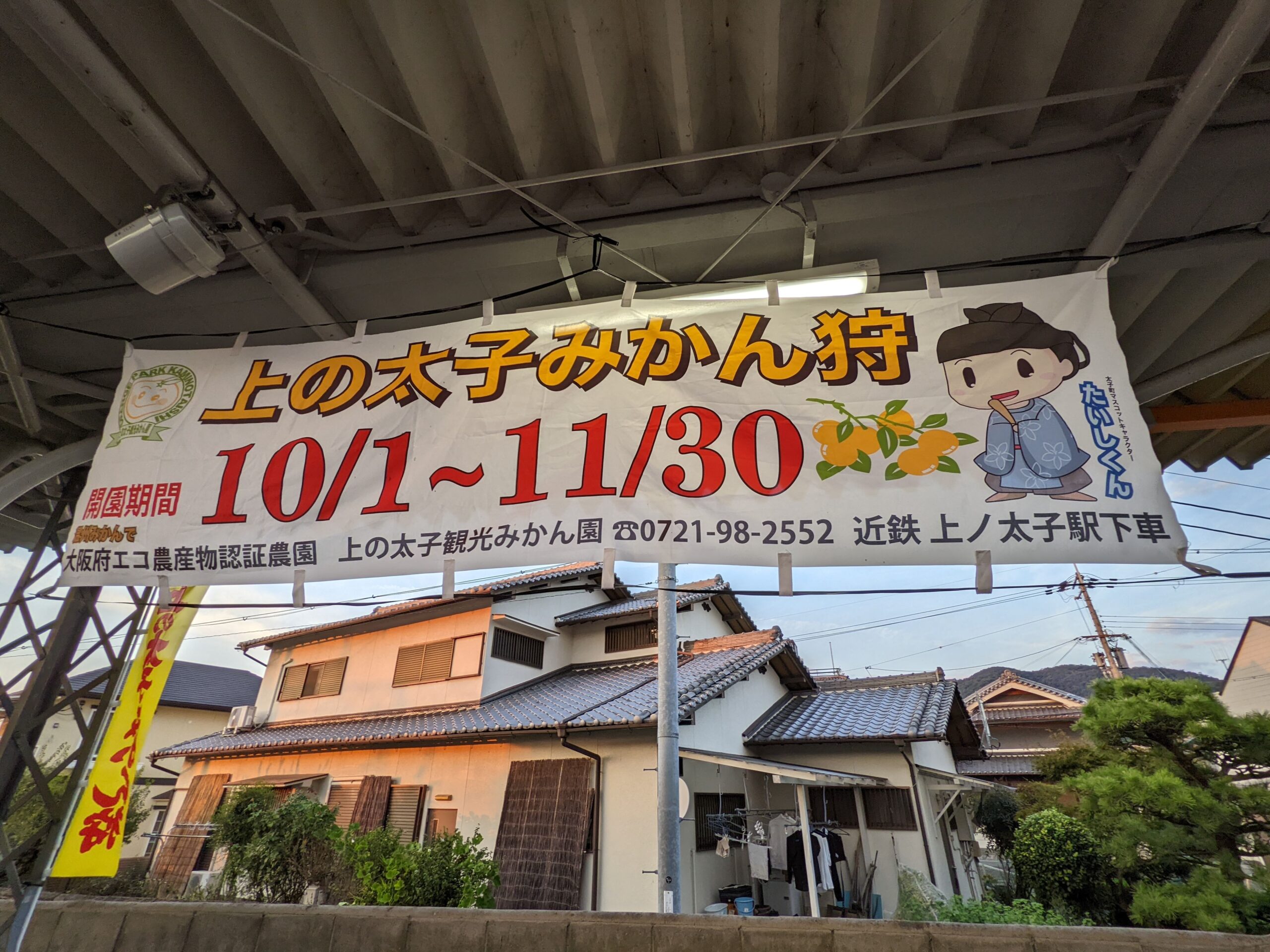 太子みかん園開園横断幕